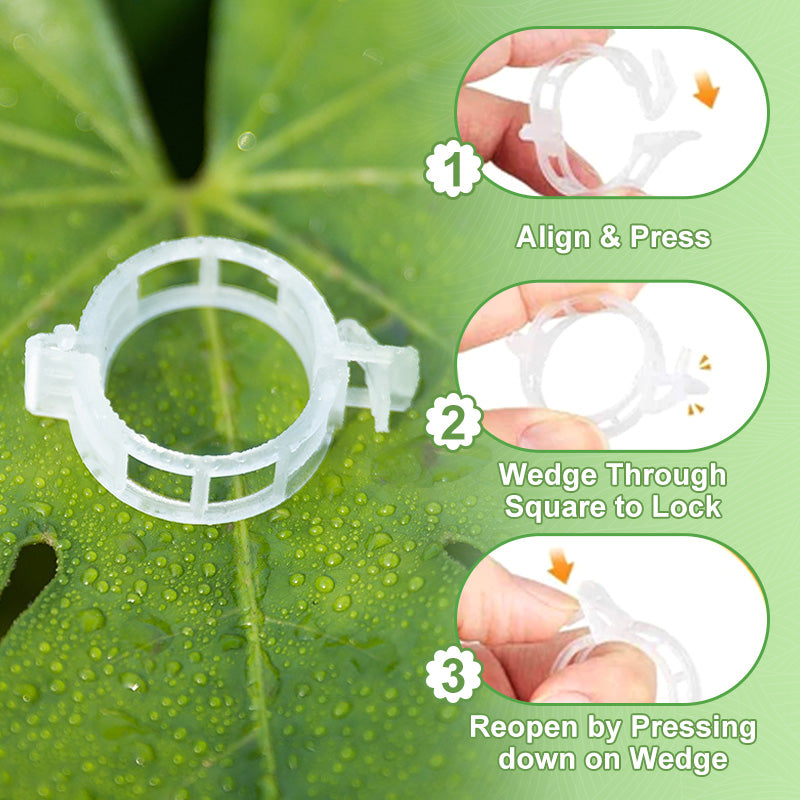 🥳2026 HOT SALE🥳💞50K+ SOLD!✨ 💝Secured Plastic Plant Clips