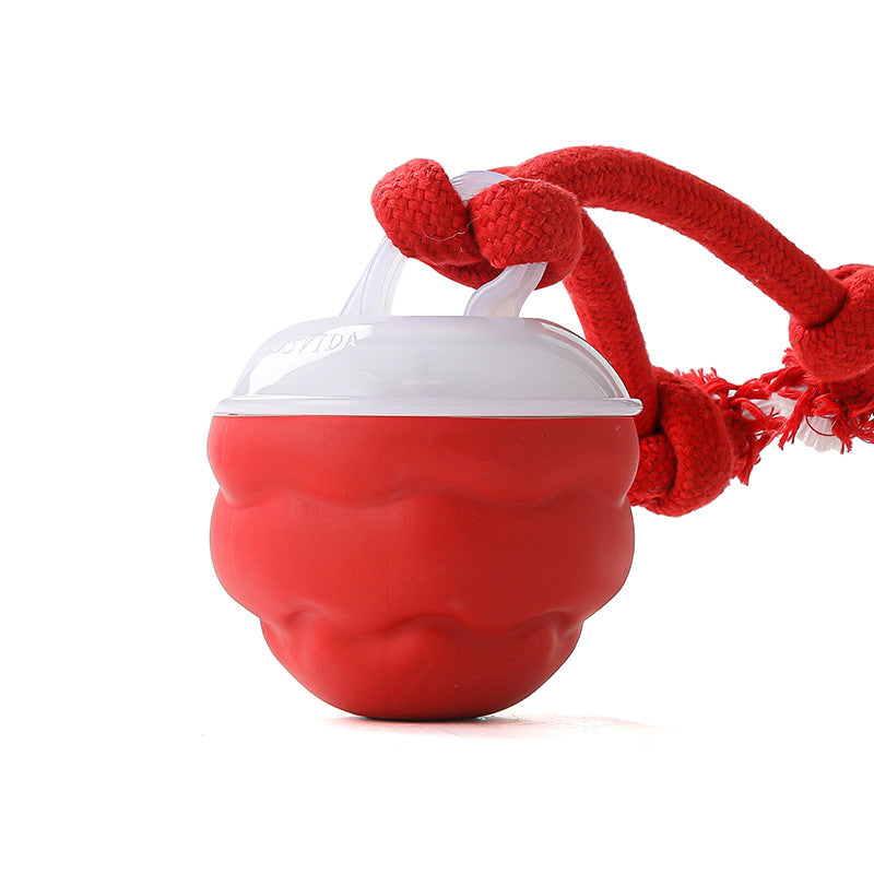 🎄Christmas Sale 50% OFF🔥Interactive Electronic Pet Soothing Toy Ball