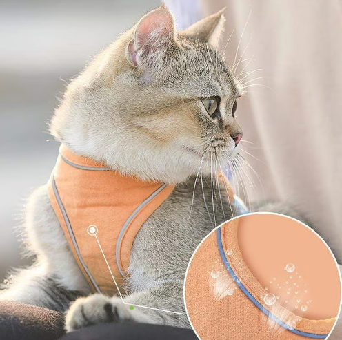 📢📢30% OFF !! ⏰ One Piece Vest Leash