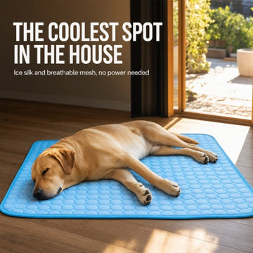 Pet Ice Mats Summer Cat Dog Sofa Nest Bed Cooling Sleeping Pad for Small Dogs Pets Durable Sofa Cooling Pad Blanket . Free Delivery!