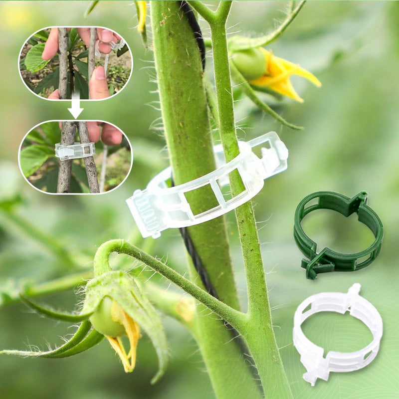 🥳2026 HOT SALE🥳💞50K+ SOLD!✨ 💝Secured Plastic Plant Clips