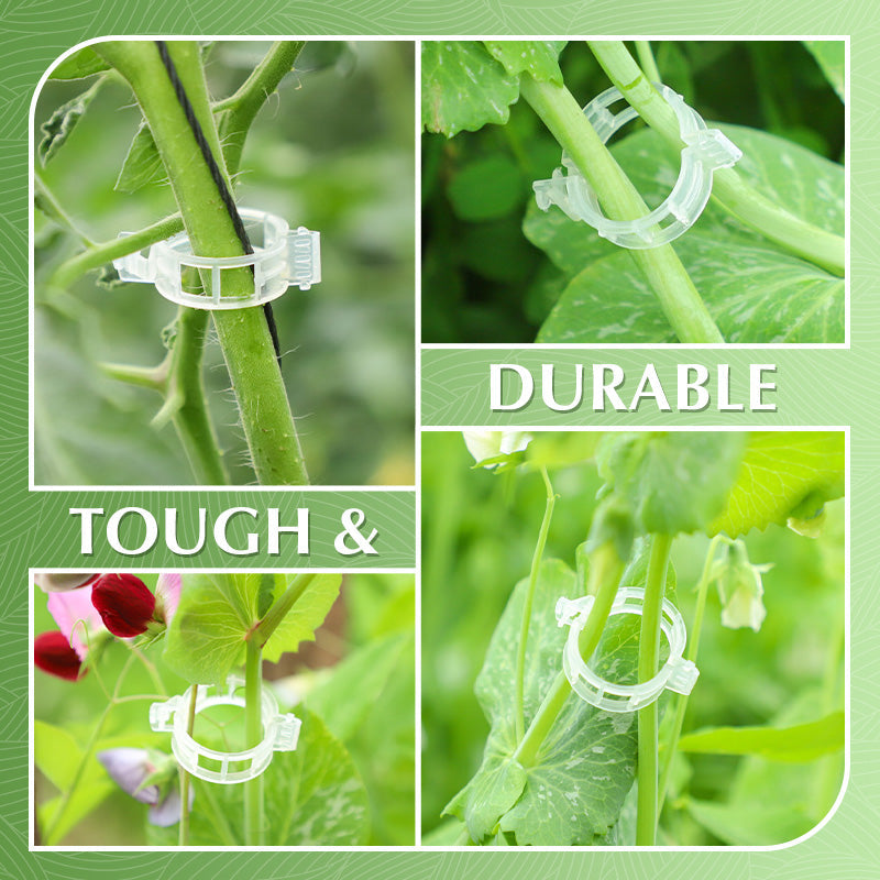 🥳2026 HOT SALE🥳💞50K+ SOLD!✨ 💝Secured Plastic Plant Clips