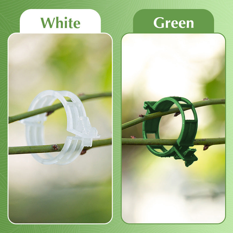 🥳2026 HOT SALE🥳💞50K+ SOLD!✨ 💝Secured Plastic Plant Clips