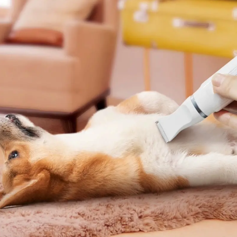 Multifunctional Mini Electric Hair Trimmer for Dogs & Cats