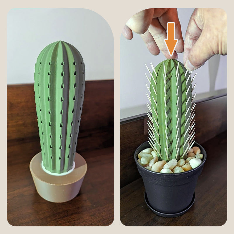3D Simulation Cactus Bonsai Toothpick Case