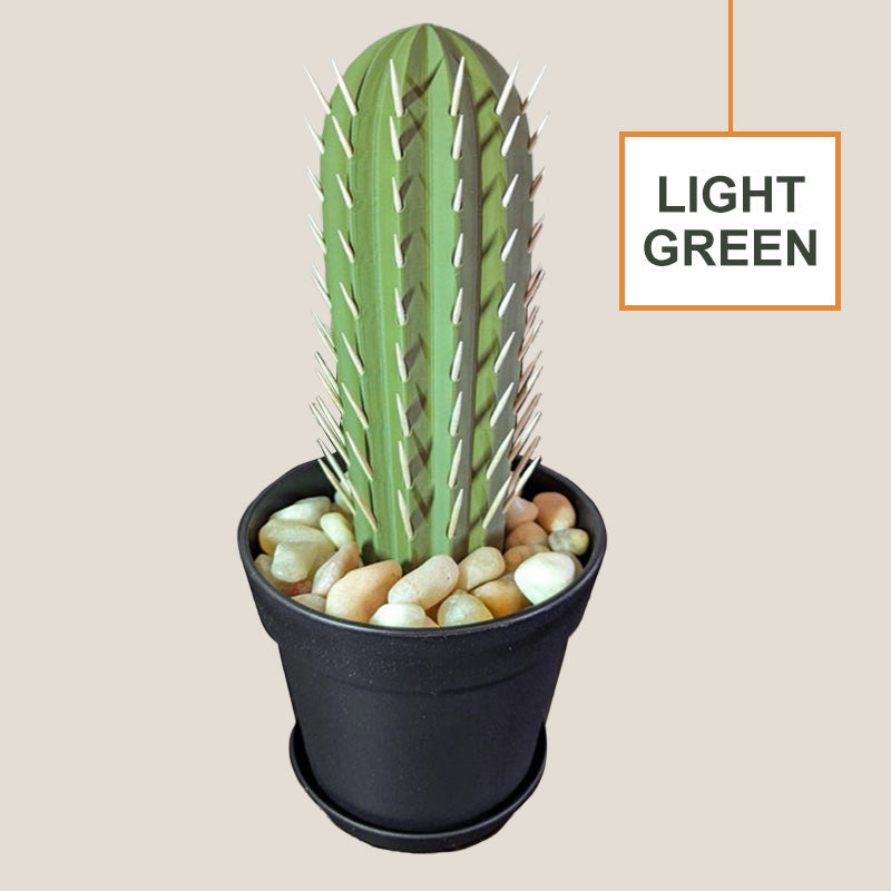 3D Simulation Cactus Bonsai Toothpick Case