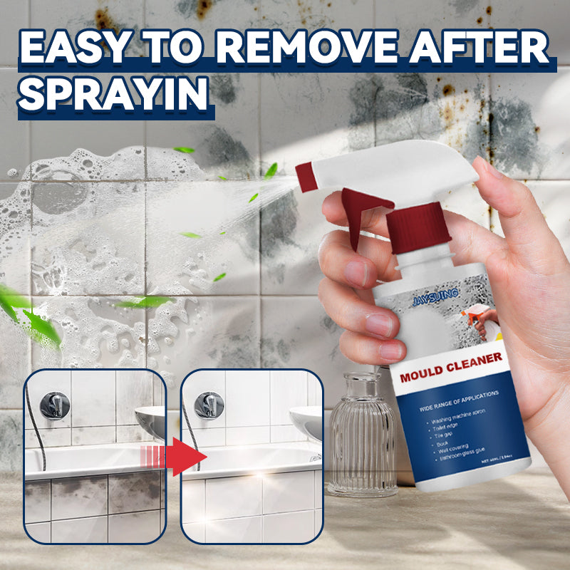 Mildew Cleaner Foam