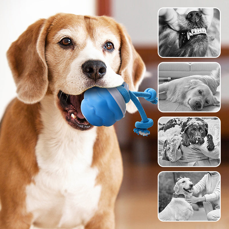 🎄Christmas Sale 50% OFF🔥Interactive Electronic Pet Soothing Toy Ball