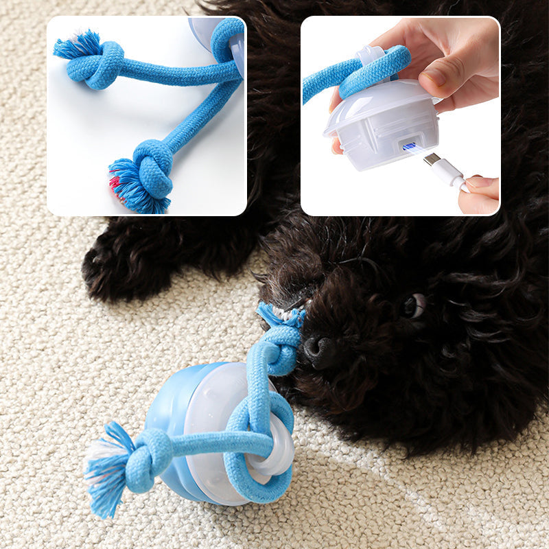 🎄Christmas Sale 50% OFF🔥Interactive Electronic Pet Soothing Toy Ball