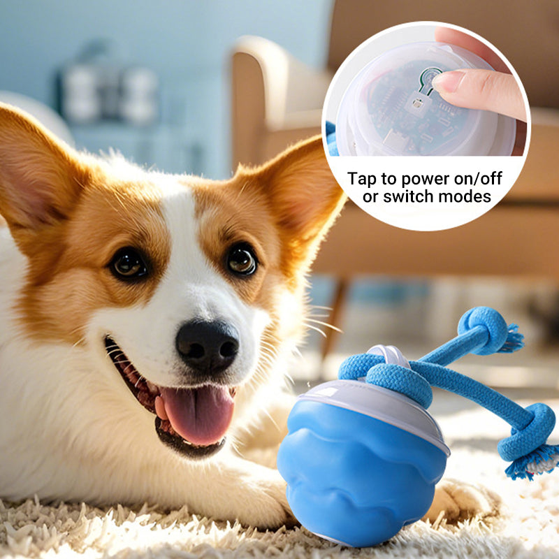 🎄Christmas Sale 50% OFF🔥Interactive Electronic Pet Soothing Toy Ball