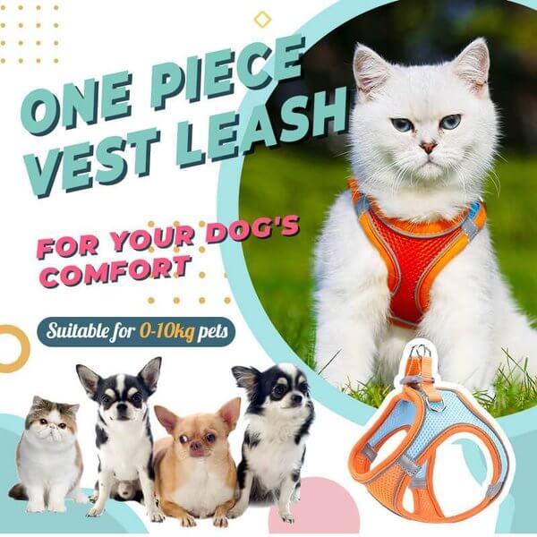 📢📢30% OFF !! ⏰ One Piece Vest Leash