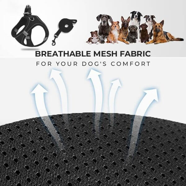 📢📢30% OFF !! ⏰ One Piece Vest Leash