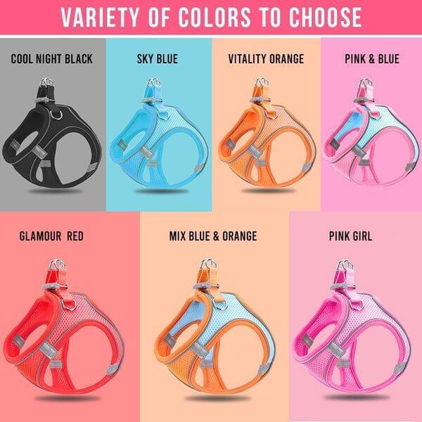 📢📢30% OFF !! ⏰ One Piece Vest Leash