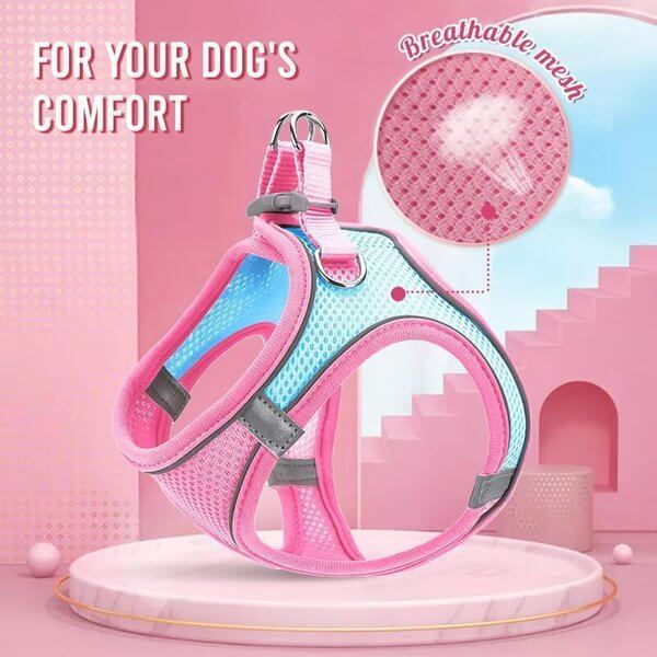 📢📢30% OFF !! ⏰ One Piece Vest Leash