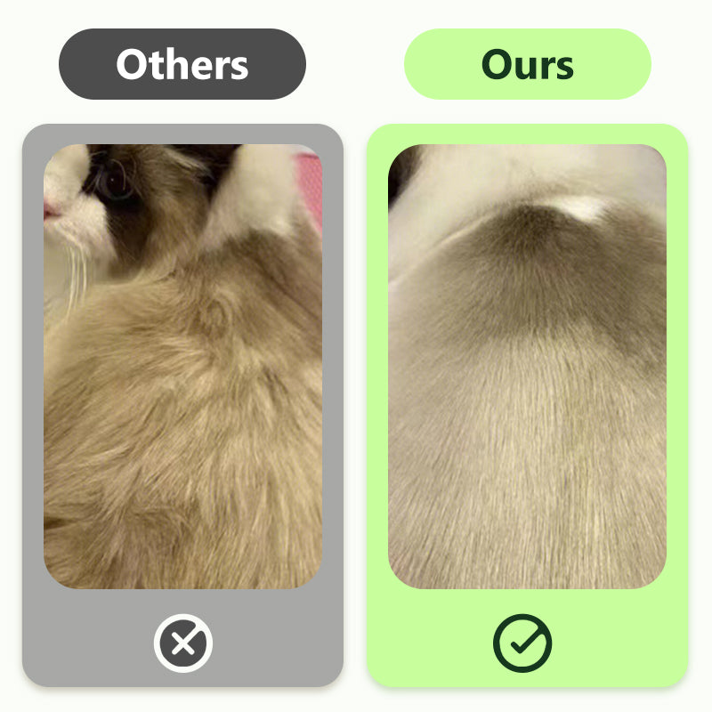 Gentle Pet Cleaning No-Rinse Gloves
