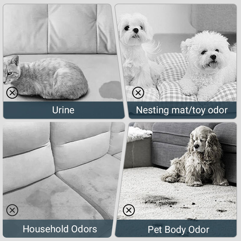 🌿 Pet Odor Eliminator Spray 🐕🌟