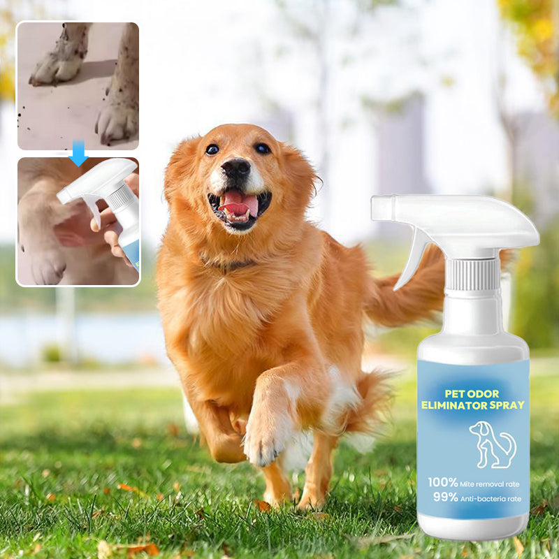 🌿 Pet Odor Eliminator Spray 🐕🌟