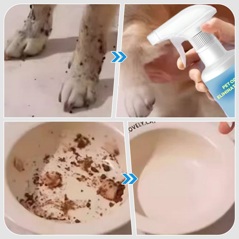 🌿 Pet Odor Eliminator Spray 🐕🌟