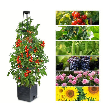 Garden Raised Bed Planter Boxes with Trellis