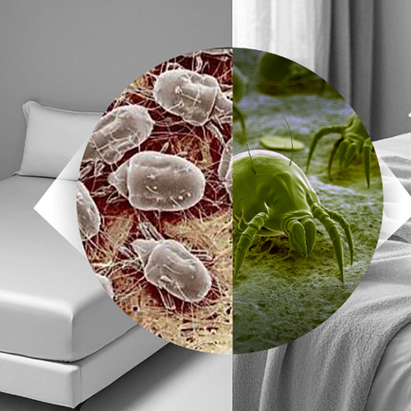 14kPa Dual-Cup UV Vacuum for Bed – Deep Clean Mattress, Sofa & Carpet, HEPA Filtration