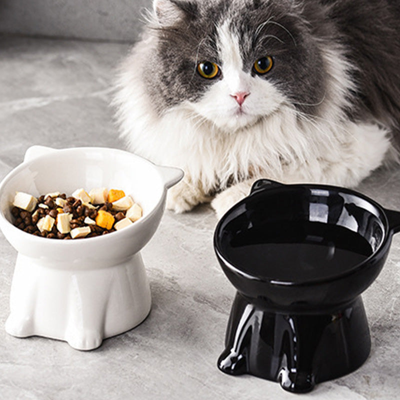 ⏰LAST DAY - BUY 1 GET 1 FREE!!💝Ergonomic Elevated Cat Bowl