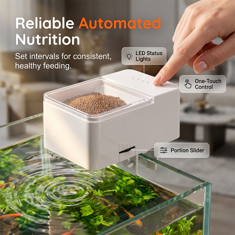 📢📢40% OFF !! ⏰ Auto Fish Feeder – Built-in Timer, Perfect for Busy Owners | Up to 30 Days 🗓️