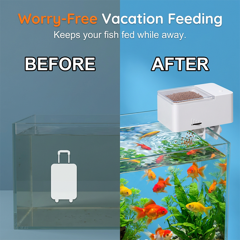 📢📢40% OFF !! ⏰ Auto Fish Feeder – Built-in Timer, Perfect for Busy Owners | Up to 30 Days 🗓️