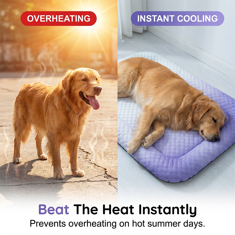 🏆LAST DAY SALE 50% OFF🔥Cooling Gel Mat for Pets